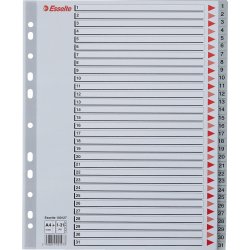 Register Esselte Maxi A4 1-31 Plast Grå