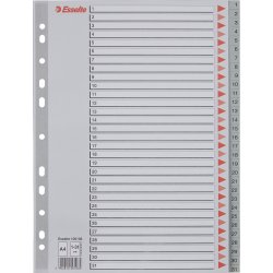 Register Esselte A4 1-31 Plast Grå