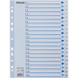 Register Esselte A4 1-20 Plast Vit