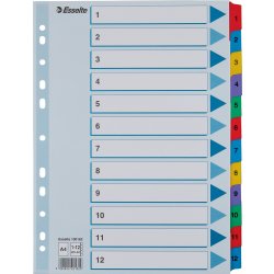 Register Esselte Mylar A4 1-12