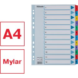 Esselte Mylar Register | A4 | Karton | 1-12