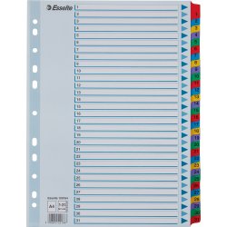 Register Esselte Mylar A4 1-31