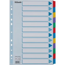 Register Esselte A4 12 flikar