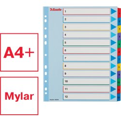 Esselte Mylar Register | A4 | Overskriv | 1-12
