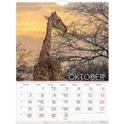 Mayland 2024 Vægkalender | Verdens dyr