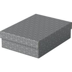 Esselte Home Box | Låg medium | Grå | 3 st.