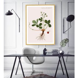 Plakat Flora Danica 18, ege ramme, 50x70 cm