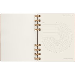 Moleskine 2024 Spiralkalender | XL | Almond