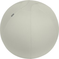 Leitz Ergo Active balansboll, grå, 65 cm