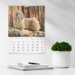 Mayland 2025 Vægkalender, hunde