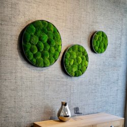 Pudemosbillede, Ø60 cm, m/ramme