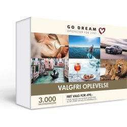 Oplevelsesgave - Valgfri Oplevelse 499