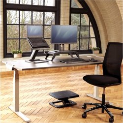 Fellowes Hana monitor stander m. USB-porte, sort