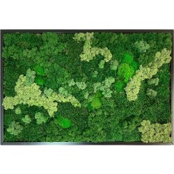 Mosbillede Mix 013, 50x70 cm, m/ramme