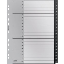 Leitz Återvinningsregister | A4 | PP | 1-20