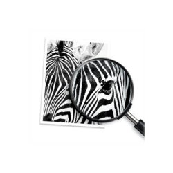 DEMO HP no 711 C1Q10A Printhoved udskiftningskit