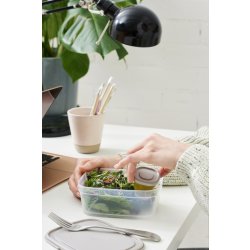 Sustain opbevaringsboks, gråbrun, 0,5dl, 4 stk.