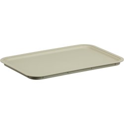 Akita låg, lille, beige