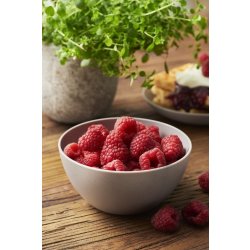 GastroMax Skål, BIO, gråbrun, 0,75L