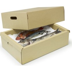 DryPack Kasse | Bund | 520x350x165 mm