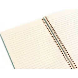 Kozo Premium Notesbog | A4 | Linjeret | Aloe Vera