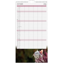 Mayland 2026 Familiekalender Katte