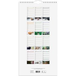 Mayland 2026 Familiekalender Katte