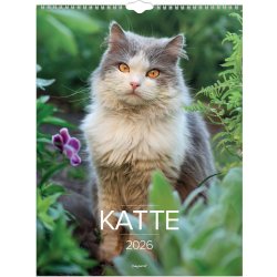 Mayland 2026 Vægkalender, katte