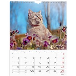Mayland 2026 Vægkalender, katte