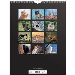 Mayland 2026 Vægkalender, katte