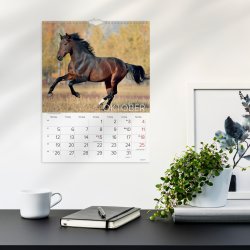 Mayland 2026 Vægkalender, heste