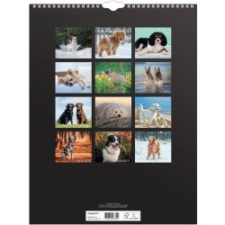Mayland 2026 Vægkalender, hunde