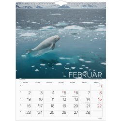 Mayland 2026 Vægkalender, verdens dyr