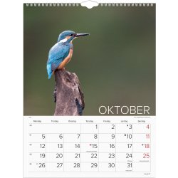 Mayland 2026 Vægkalender, verdens dyr