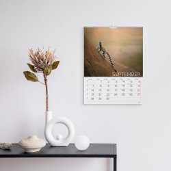 Mayland 2026 Vægkalender, verdens dyr