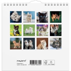Mayland 2026 Vægkalender Mini, kattekillinger