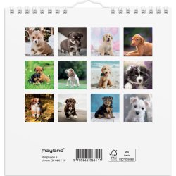 Mayland 2026 Vægkalender Mini, hundehvalpe