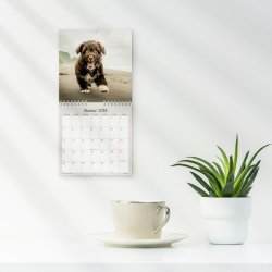 Mayland 2026 Vægkalender Mini, hundehvalpe