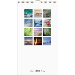 Mayland 2026 Vægkalender Dream & Do