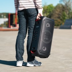 Miiego Miisound Gigant Højtaler