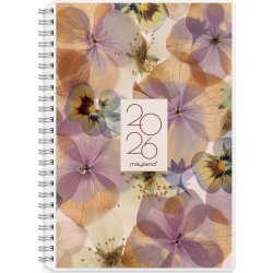 Mayland 2026 International Ugekalender, 4 ill.