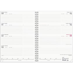 Mayland 2026 International Ugekalender, 4 ill.