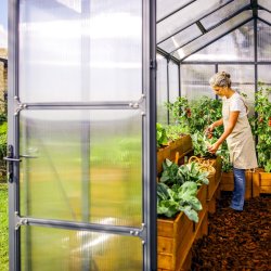 Palram Canopia Glory Drivhus, 9,2 m2, grå