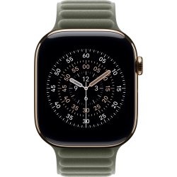Apple Magnetisk ledrem, salviegrå, 46 mm - M/L