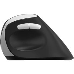 RAPOO Mus EV250, 2,4 GHz, trådløs, Optisk sort