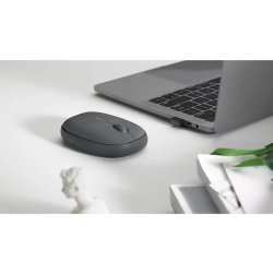 RAPOO Mus M660 lydløs, Trådløs, Multi-Mode, Grå