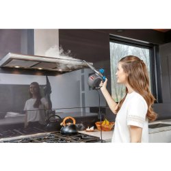 BISSELL Damprenser, håndholdt