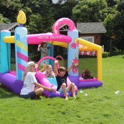 Doctor Dolphin Doughnut Hoppeborg