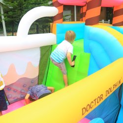 Doctor Dolphin Icecream Hoppeborg