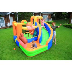 Doctor Dolphin Squirrel Hoppeborg